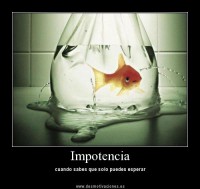 /album/fotogaleria/a84240-jpg1/