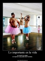 /album/fotogaleria/a320305f334bcac4b495c7def44800fae170223copia-2-jpg1/