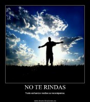 /album/fotogaleria/alegria-01-jpg1/