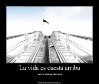 /album/fotogaleria/manualdemontanarusa-jpg1/