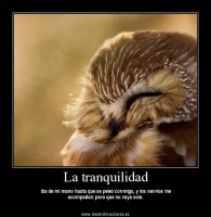 /album/fotogaleria/tumblr-lwgrlikqfa1r8bweeo1-500-thumb-jpg1/